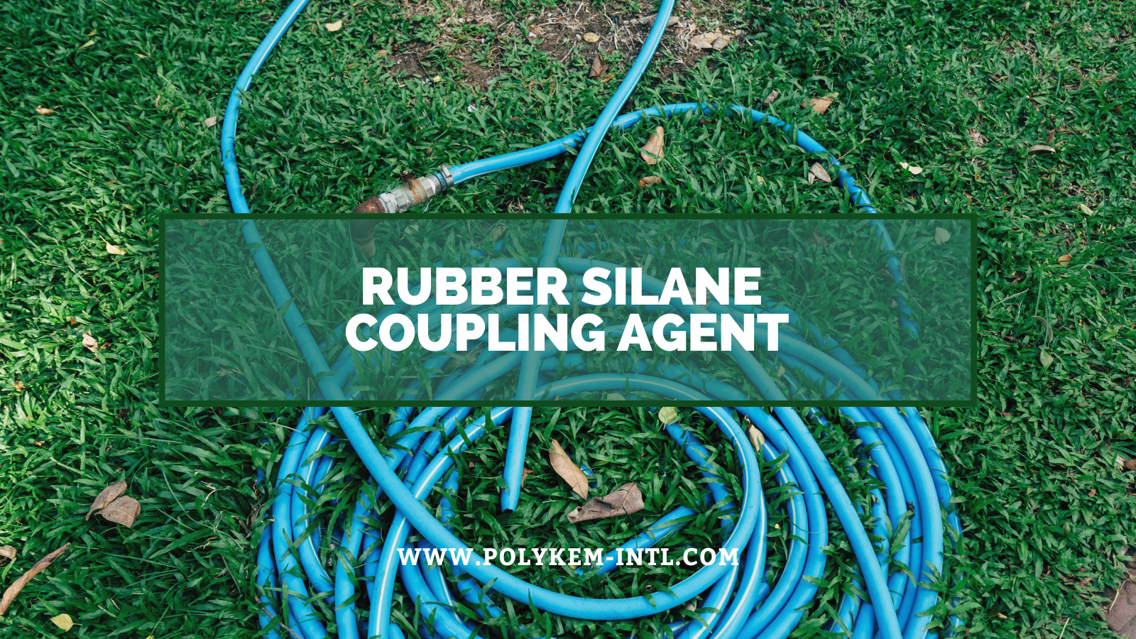 ရော်ဘာပိုးမွှားများချုပ်ကိုင်ထားသည့်အေးဂျင့်၏ဝိသေသလက္ခဏာများနှင့်လျှောက်လွှာ - Polykem Power ရော်ဘာထုတ်ကုန်များအဆင့်မြှင့်တင်ရန်